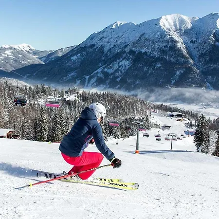 ホテル Alpenhotel Edelweiss マウラッハ