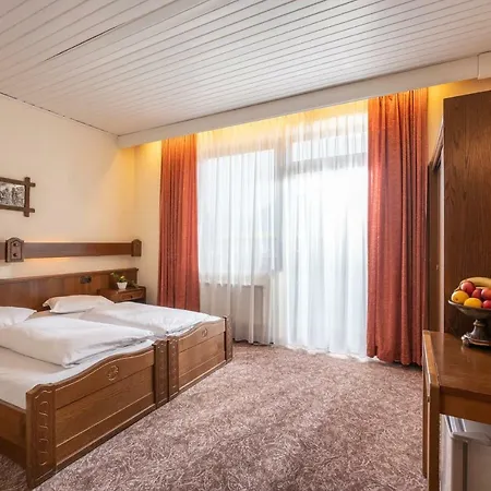 Hotel Alpenhotel Edelweiss