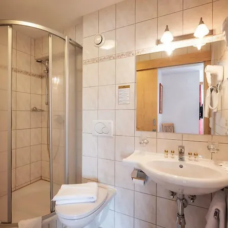 Hotel Alpenhotel Edelweiss 3*